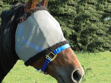 FLY MASK 
